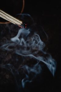 cockroach spiritual meaning